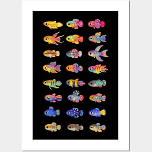 Killifish! Posters and Art